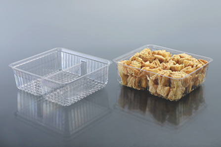 RECTANGULAR CONTAINER 2CP